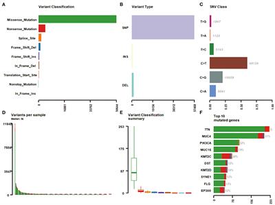 Identification of Potential Driver Genes Based on Multi-Genomic Data in Cervical Cancer